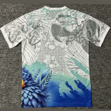 2025 Brazil Special Edition Fans Soccer Jersey