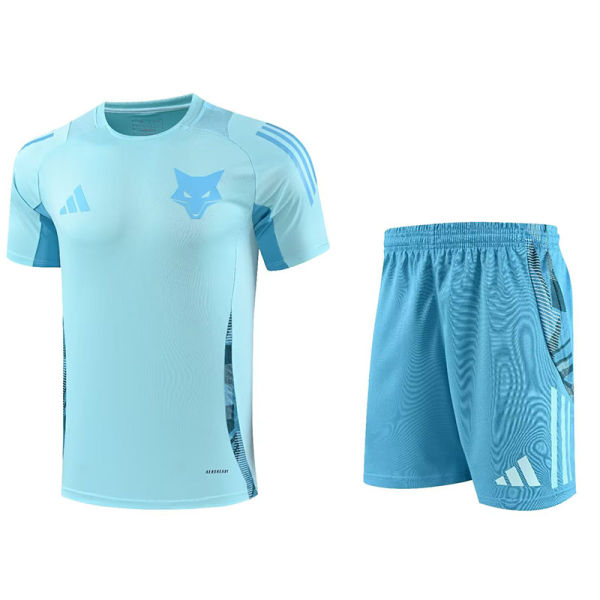 2025/26 Cruzeiro Light Blue Training Jersey(A Set)