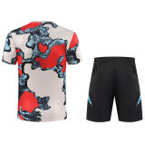 2025/26 BFC Training Jersey(A Set)