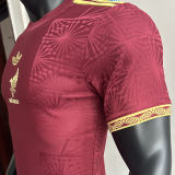 2025 Mexico Red Special Edition Player Version Soccer Jersey 胸前鸟