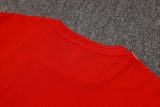 2025/26 Flamengo Red Training Jersey(A Set)