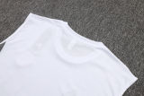 2025/26 Inter Miami White Vest Training Jersey(A Set)