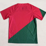 2025/26 Morocco Special Edition Fans Soccer Jersey