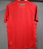 2010 Portugal Home Red Retro Player Version Soccer Jersey 球员版