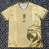2025/26 Brazil Special Edition Fans Soccer Jersey