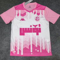 2025/26 Tunisia Special Edition Fans Soccer Jersey  突尼斯