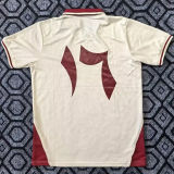 2025/26 Palestine Middel #17 Home Fans Soccer Jersey