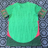 2026/27 Mexico Special Edition Fans Soccer Jersey