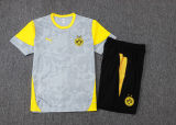 2026 BVB Grey Yellow Training Jersey(A Set)