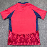 2025/26 Independiente Medellín Home Fans Soccer Jersey 哥伦甲 麦德林独立