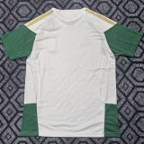 2026 Italy Special Edition White Fans Soccer Jersey