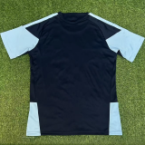 2026/27 Argentina Training Fans Soccer Jersey