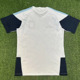 2026/27 Argentina Training Fans Soccer Jersey