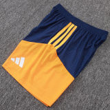 2026 AD Royal Blue Training Jersey (A Set)