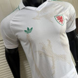 2026/27 Wales Away White Player Version Soccer Jersey