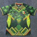 2026/27 Mali Home Green Fans Soccer Jersey