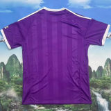 2025/26 Aston Villa GK Purple; Fans Soccer Jersey