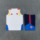 2026/27 Colombia White Vest Training Jersey (A Set)