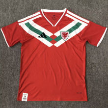 2026/27 Wales Special Edition Fans Soccer Jersey