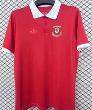 2026/27 Wales 150TH Anniversary Edition Fans Soccer Jersey