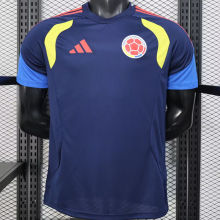2026/27 Colombia Special Edition Player Version Soccer Jersey