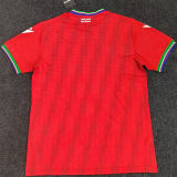 2026/27 Guinea Away Red Fans Soccer Jersey 几内亚