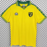 1976/1981 Norwich Home Yellow Retro Soccer Jersey