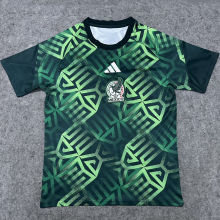 2026/27 Mexico Special Edition Fans Soccer Jersey