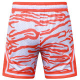 C2520 Jordan Casual Short Pants 虎纹橙