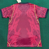 2026/27 Brazil Special Edition Red Fans Soccer Jersey