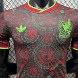 2026/27 Mexico Special Edition Player Version Soccer Jersey