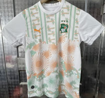 2026/27 Ivory Coast Away Fans Soccer Jersey