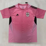 2026/27 Spain Goalkeeper Pink Fans Soccer Jersey