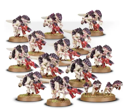 Tyranids Termagant Brood
