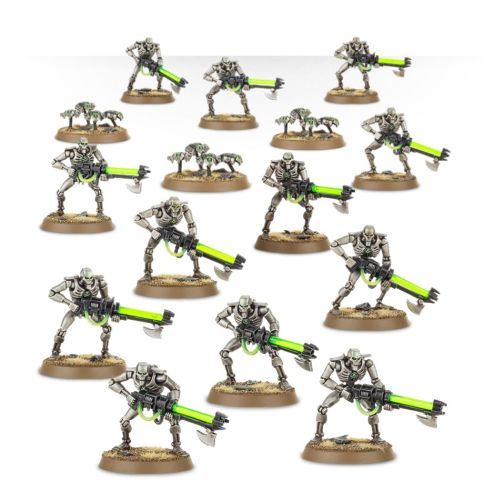Necron Warriors with Canoptek Scarabs