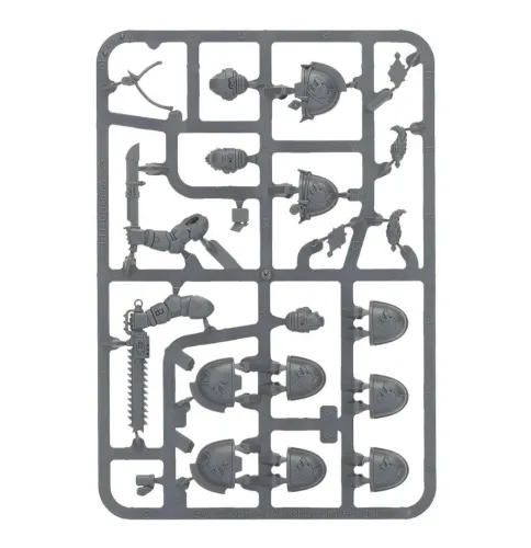 Space Wolves Primaris Upgrade Frames