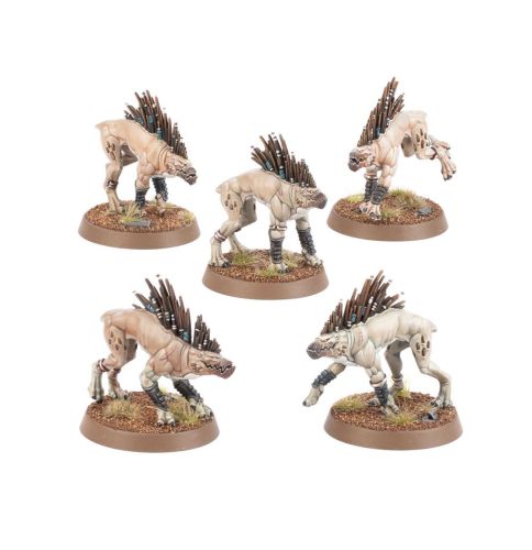 TAU Kroot Hounds