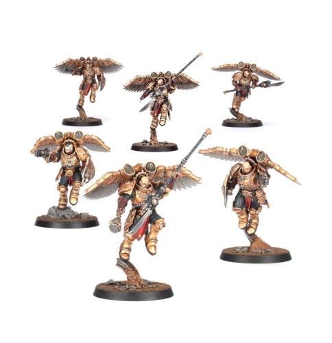 Adeptus Custodes Venatari Sodality (NEW)