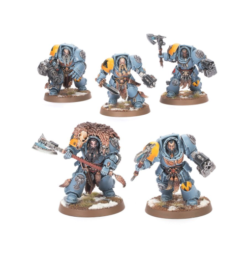 SPACE WOLVES Wolf Guard Terminators