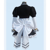 Zero no Tsukaima/The Familiar Of Zero Louise Francoise Cosplay Costume 4