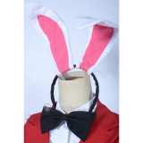 Love Live Sonoda Umi Bunny Girl Cosplay Costume