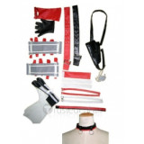 Neo Angelique Rayne Cosplay Costume