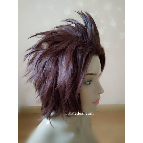 Kingdom Hearts Birth by Sleep Terra Brown Styled Cosplay Wig