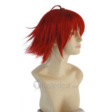 Hack G.U.Trilogy Alkaid Red Cosplay Wig