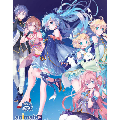 Vocaloid 2017 Snow Kaito Luka Rin Len Lolita Cosplay Costumes