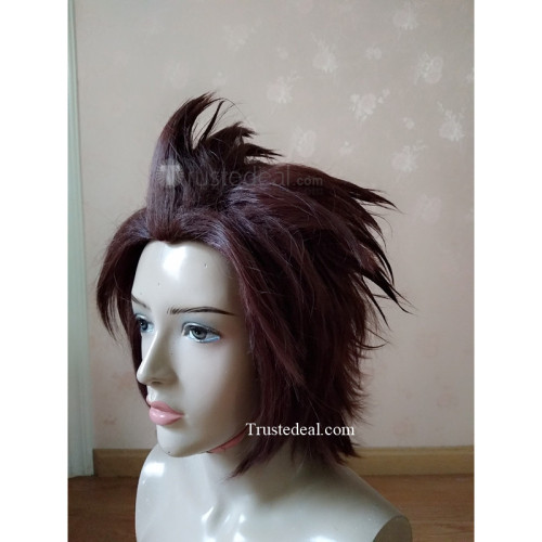Kingdom Hearts Birth by Sleep Terra Brown Styled Cosplay Wig