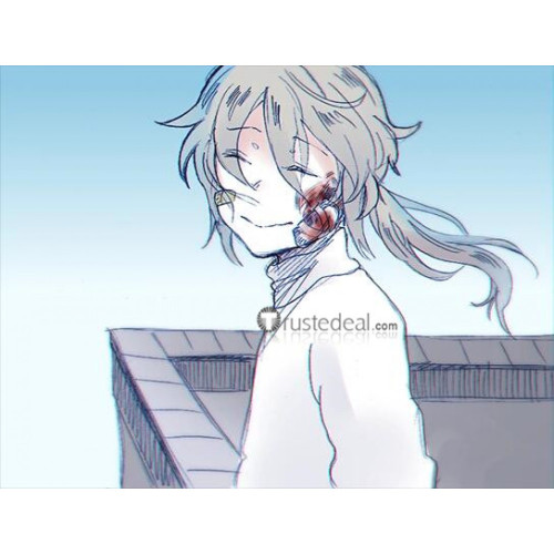 Hello Charlotte Vincent Wordsworth Silver Gray Ponytail Cosplay Wig
