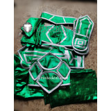 League of Legends Akali Green Cosplay Costume