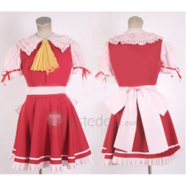 Touhou The Embodiment of Scarlet Devil Flandre Scarlet Cosplay Costume