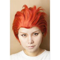 Free! Iwatobi Swim Club Seijuro Mikoshiba Orange Cosplay Wig